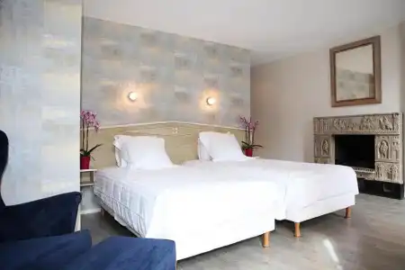 Hôtel le Roncevaux - 42