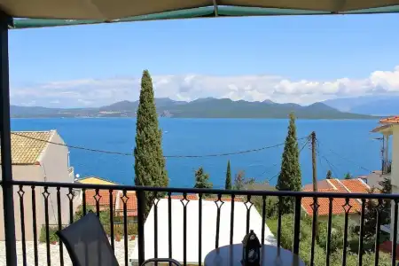 Vergina Star - 238
