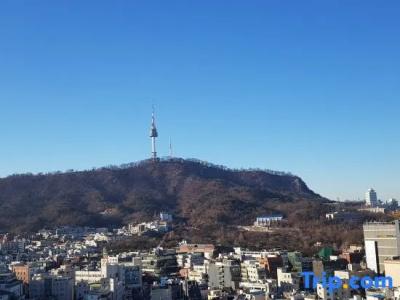 Myeongdong Merlin - 102