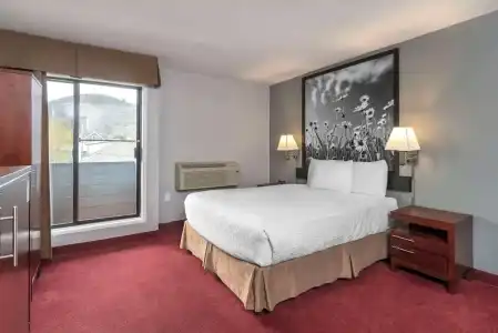 Quality Inn & Suites - 35