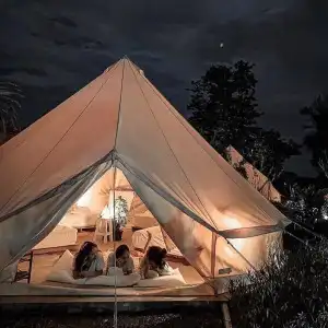 Roost Glamping - 49