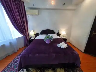 Bella Donna - 40
