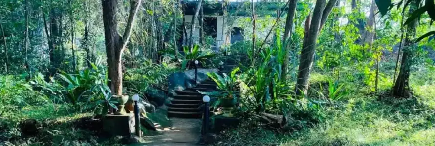 Green House - 50