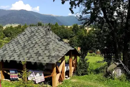 Sadyba u Anastasijky - 46