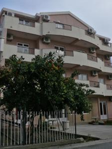 Guest House Zec - 4
