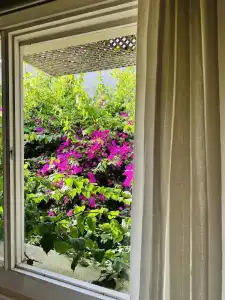 Alaca Butik Otel - 6