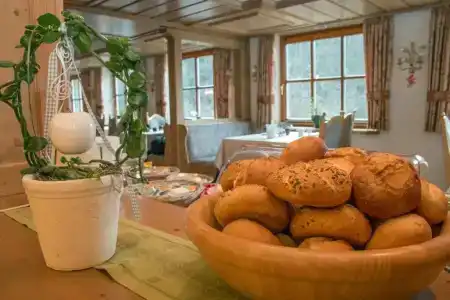 & Gasthof Hubertushöhe - Ihr für Urlaub Mit Hund - 1
