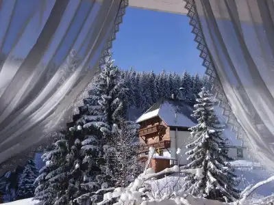 Schwarzwald-Pension Kräutle - 11