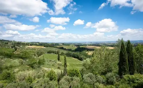 Cappuccina Country Resort - 17