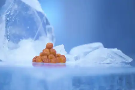 Sorrisniva Igloo - 41