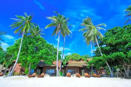 Koh Tao Beach Club - 136