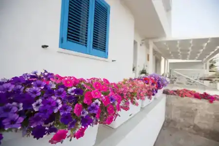 Villa Patrizia Selinunte - 12