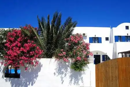 Santorini Breeze - 4