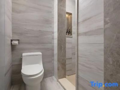 Hôtel Ibis Toulouse Purpan - 72