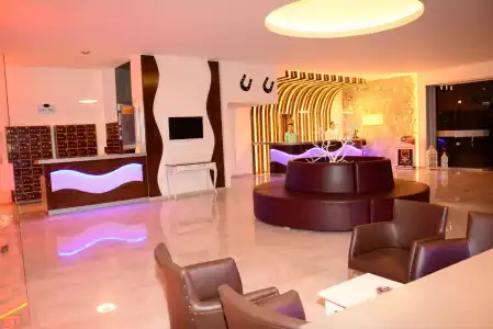 Alenz Suite - 18