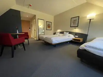 Plaza Inn Heidehof - 36