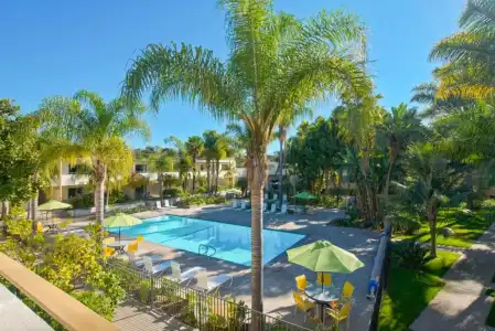 Lemon Tree Inn - 12