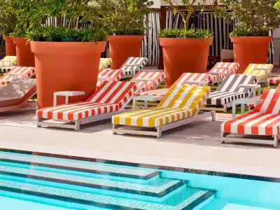 Dua Miami, Autograph Collection - 19