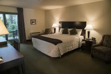 Lemon Tree Inn - 56