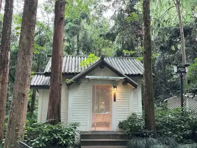 Lotus Glade - 102