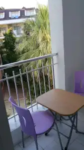 Delphin Apart - 40