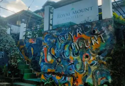 Royal Mount - 37