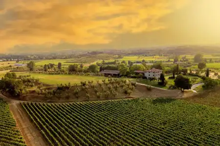 Bellerive Lifestyle - 25