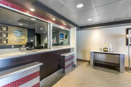 Comfort Inn Los Angeles near Hollywood - 4