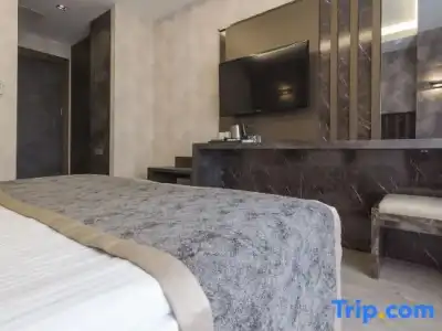 Ankara Royal - 63