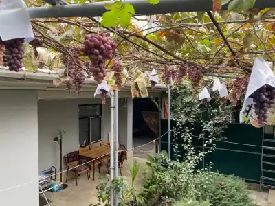 Guest House Vip - 13
