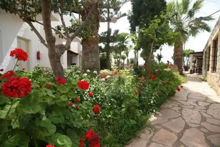 Classic Apartments - 12