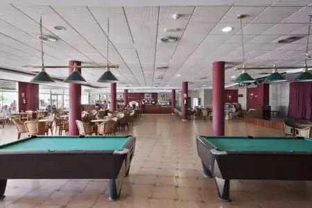 Best Oasis Tropical - 18