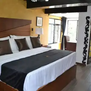 Boutique La Mansion Guadalajara - 62