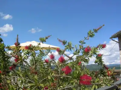 La Terrazza del Subasio - 41