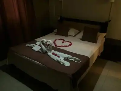 Villa Narmada - 3