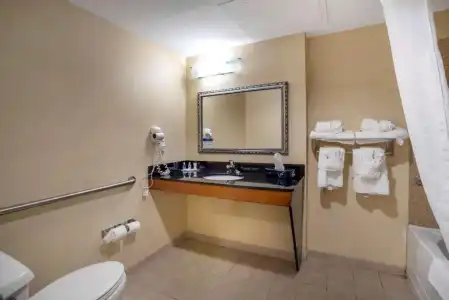 Comfort Suites Fredericksburg North - 59