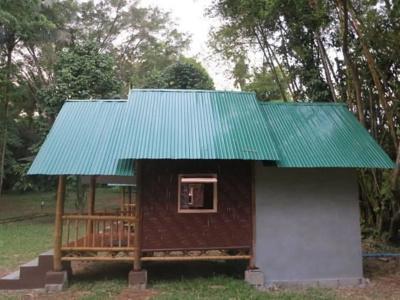 Khao Sok Evergreen House - 6