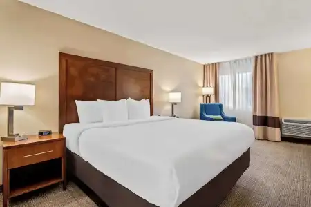 Comfort Inn & Suites Albuquerque Downtown - 50