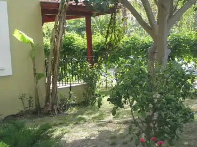 Göcek Alize - 15