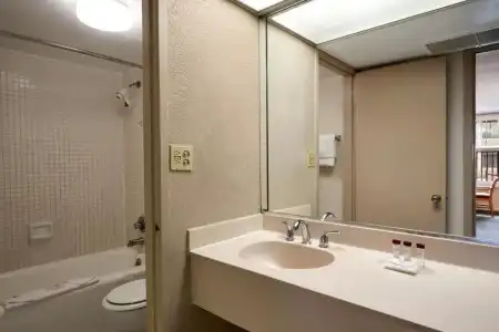 Ramada by Wyndham Kissimmee Gateway - 32