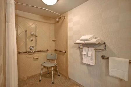 Hampton Inn & Suites Greenville-Downtown-RiverPlace - 123