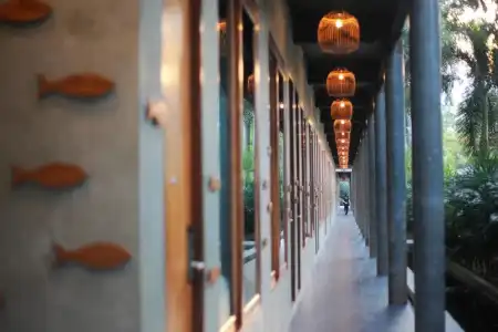 The Buffalo Amphawa (SHA Plus) - 9