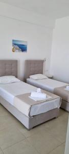 Thira's Dolphin - 34
