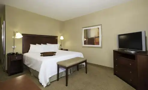 Hampton Inn & Suites Abilene I-20 - 60