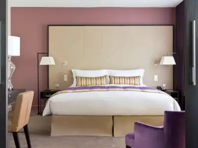 Sofitel Strasbourg Grande Ile - 43