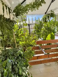 Bohemian Boutique Suites - 57