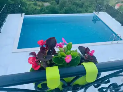 Vila Vuk - 6