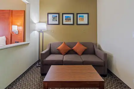 Comfort Suites University Las Cruces - 63