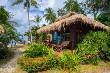 Palm Leaf Resort - 83
