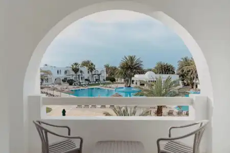 Bougainvillier Djerba - 30